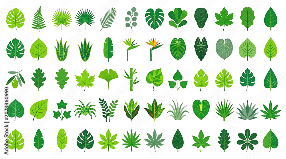 Fototapeta premium Collection of Green Botanical Leaf Icons in Flat Style Vector Illustration