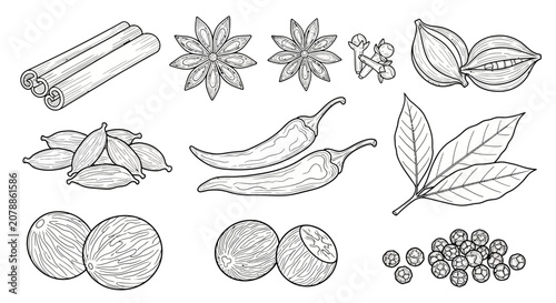 Quadro su tela A collection of spice and herb illustrations.