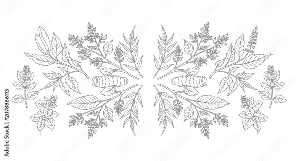 Fototapeta premium A symmetrical arrangement of various leaves and flowers in a decorative pattern.
