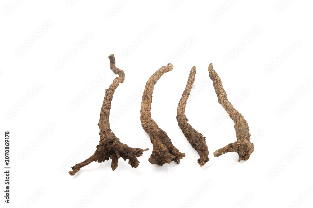 Fototapeta premium Scutellaria Baicalensis Dried Herbal Roots Traditional Chinese Medicine Natural Health Products on White Background