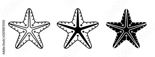 Schilderij op canvas Starfish Icons Set, Marine Life Vector Graphics, Nautical Symbols Collection