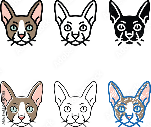 Fotografi cornish rex cat cute pet color icon vector