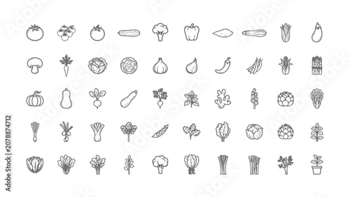 Foto A collection of various vegetable and plant icons in a line drawing style on a w