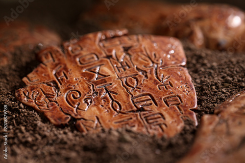 Konstfotografi Ancient Chinese Oracle Bone Script Inscriptions from Yinxu Archaeological Site -