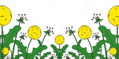 Summer Frame isolated transparent background. Summer flowers Frame from dandelion and blowball flower template design. Vector illustration Editable stroke EPS 10