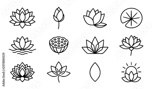 Photography Blooming lotus flowers vector icon set with simple bold line art classic water l