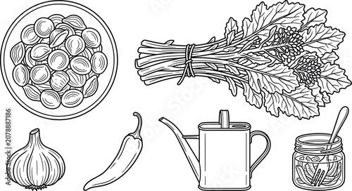 Bild auf Leinwand Italian Orecchiette Pasta Ingredients Vector Set featuring Raw Noodles Broccoli
