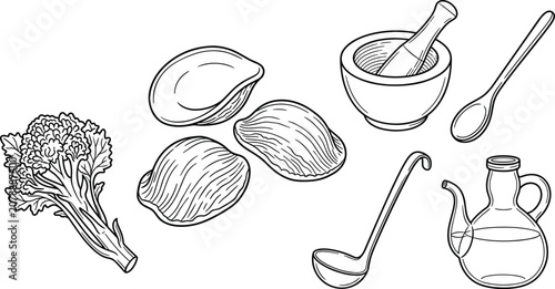 Tableau sur toile Italian Orecchiette Pasta Ingredients Vector Set with Fresh Broccoli Rabe Mortar