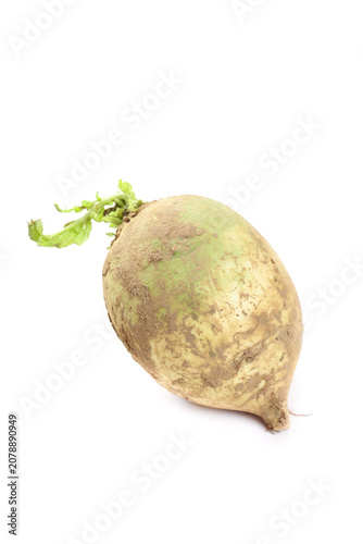 Fresh Rutabaga Root Vegetable with Green Leaves Studio Shot on White Background