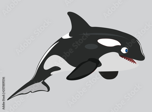 Принти на полотні A cartoon illustration of an orca whale swimming on a gray background with a men