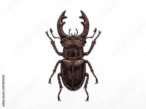 Detailed stag beetle embroidery art isolated on white background

