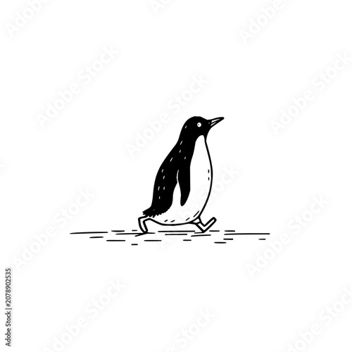 Penguin illustration walking drawing cute animal antarctic bird black and white line art simple design isolated