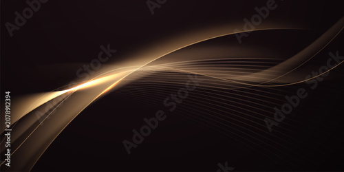 Modern abstract vector design with a black background and luxurious elements.