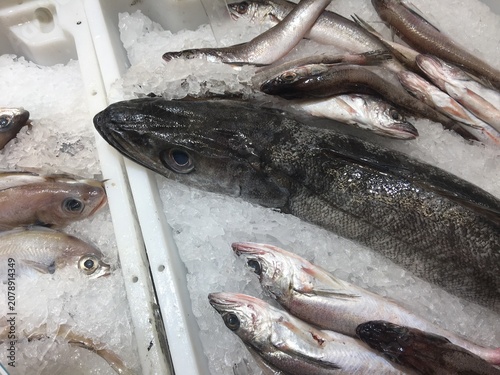 Fresh Fish on Ice Merchandising Display 