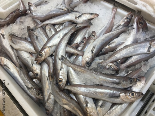 Fresh Fish on Ice Merchandising Display 