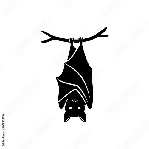 Bild auf Leinwand Reversal Perspective Bat Icon