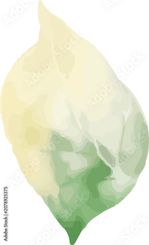 Abstract Leaf Watercolor Illustration