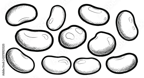 Foto Hand drawn kidney bean collection with cross hatching shading