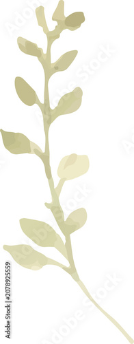 Soft Blushing Olive Leaves Botanical Watercolor