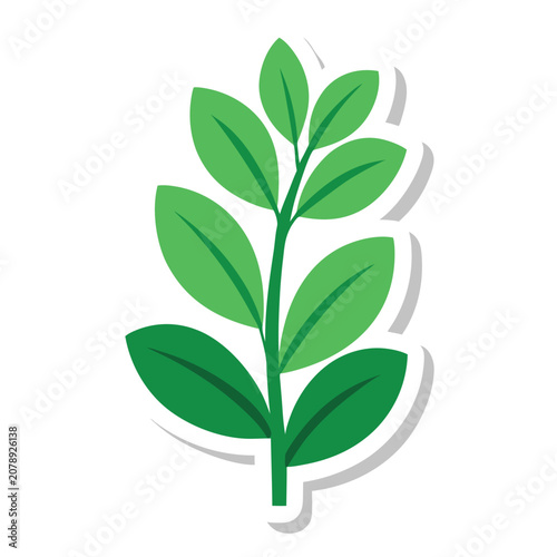 Green plant sticker with white background, flat lay