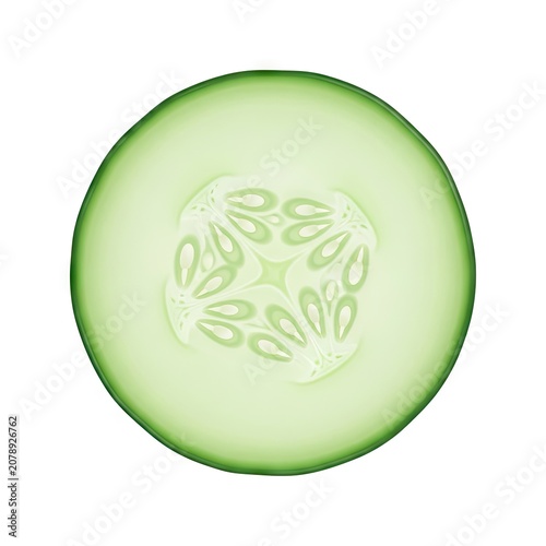 Fresh Green Cucumber Slice Isolated on White Background.