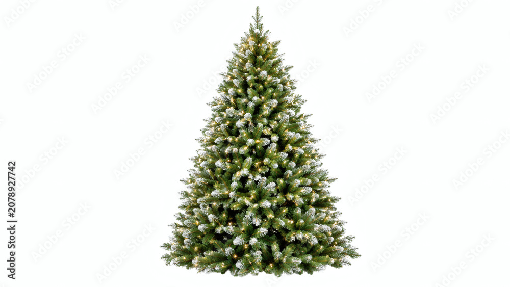 Fototapeta premium Snow Covered Christmas Tree Isolated on White Background