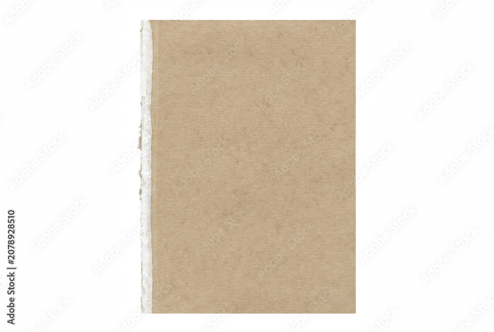 Fototapeta premium Textured Brown Paper Sheet with a Torn Left Edge