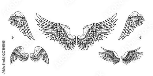 Foto Wing Illustration Set with Symmetrical Angel Wings Engravings, Line Art on White