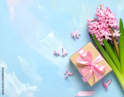 Beautiful Pink Hyacinth Flowers and Gift Box on Blue Background.