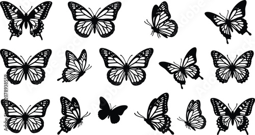 Quadro su tela Collection of decorative black butterfly silhouettes with detailed wing patterns