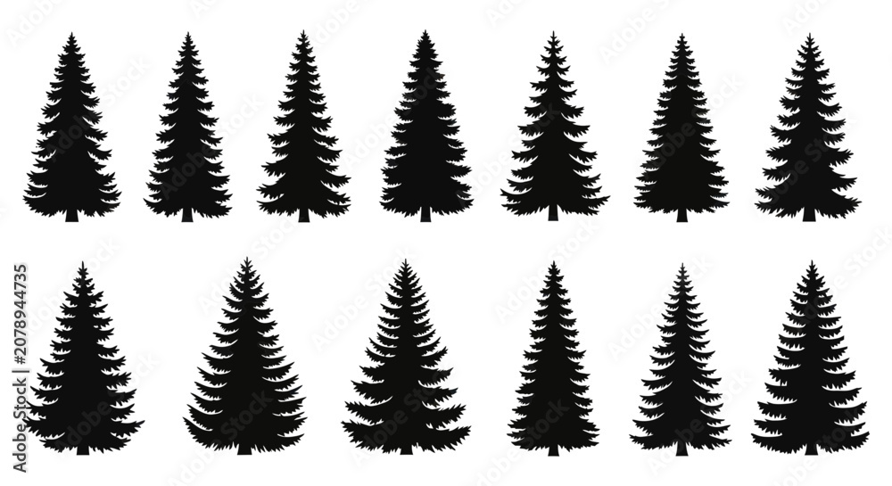 Obraz premium Evergreen tree silhouettes set of pine and spruce conifers