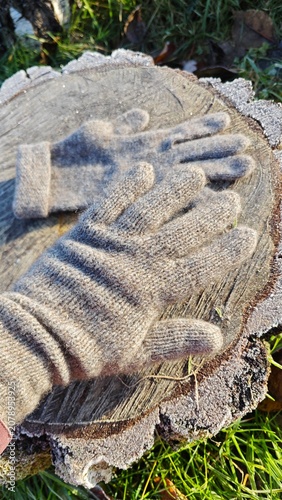 Close up of a hand wearing a knitted wool glove on a frosted stump. Vertical photo of handmade winter accessories outdoors