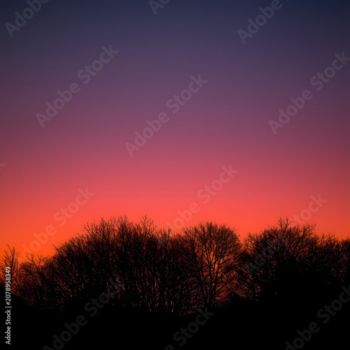 Colorful Twilight Sky with Vibrant Orange and Purple Sunset Gradient Above Silhouetted Trees