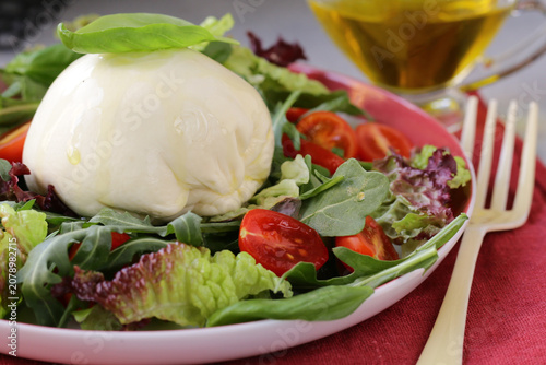 soft mozzarella cheese for salads and pizza