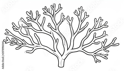 Detailed coral reef structure black and white drawing