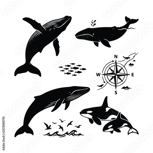 Billede på lærred Set of black silhouettes of whales and orcas with compass and school of fish