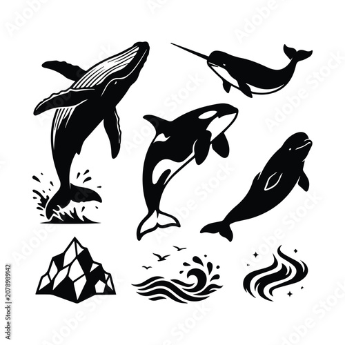 Canvas Print Various marine animals and arctic elements vector illustration set on white back