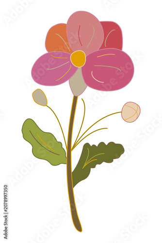 Fotografi Stylized botanical vector featuring a pink flower with five massive petals sepal