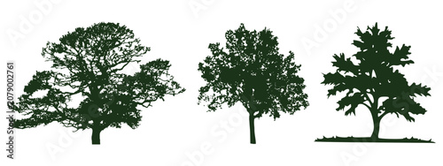 Hand Drawn Architectural Tree Sketches Vector Set, Minimal CAD Tree Line Drawings with Side View Forest Trees for Landscape Architecture.