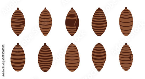 Konstfotografi Set of ten brown striped insect chrysalis or pupa icons