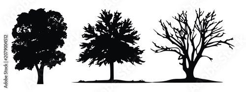 Hand Drawn Architectural Tree Sketches Vector Set, Minimal CAD Tree Line Drawings with Side View Forest Trees for Landscape Architecture.