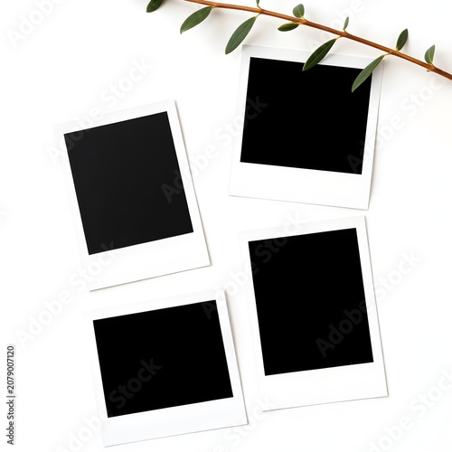 Four blank polaroid photos with eucalyptus branch on white background