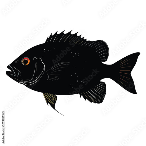Illustration of a black fish with a red eye isolated on a white background.
