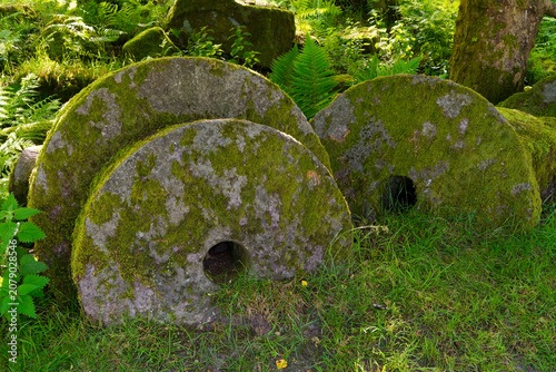 Tableau sur toile Abandoned moss covered millstones in Bolehill Quarry.
