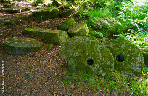 Tableau sur toile Discarded moss covered millstones in Bolehill Quarry, Hathersage.