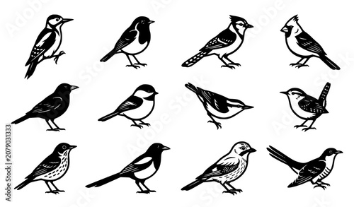 Foto North American Songbirds and Backyard Birds Vector Icon Set with Cardinal, Blue