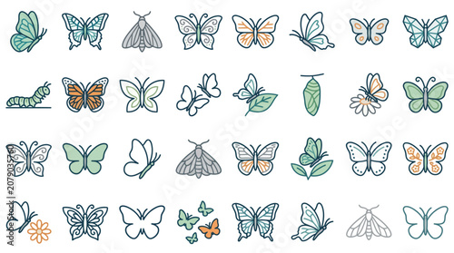 Butterfly and Moth Icons with Caterpillar and Chrysalis Nature Symbols