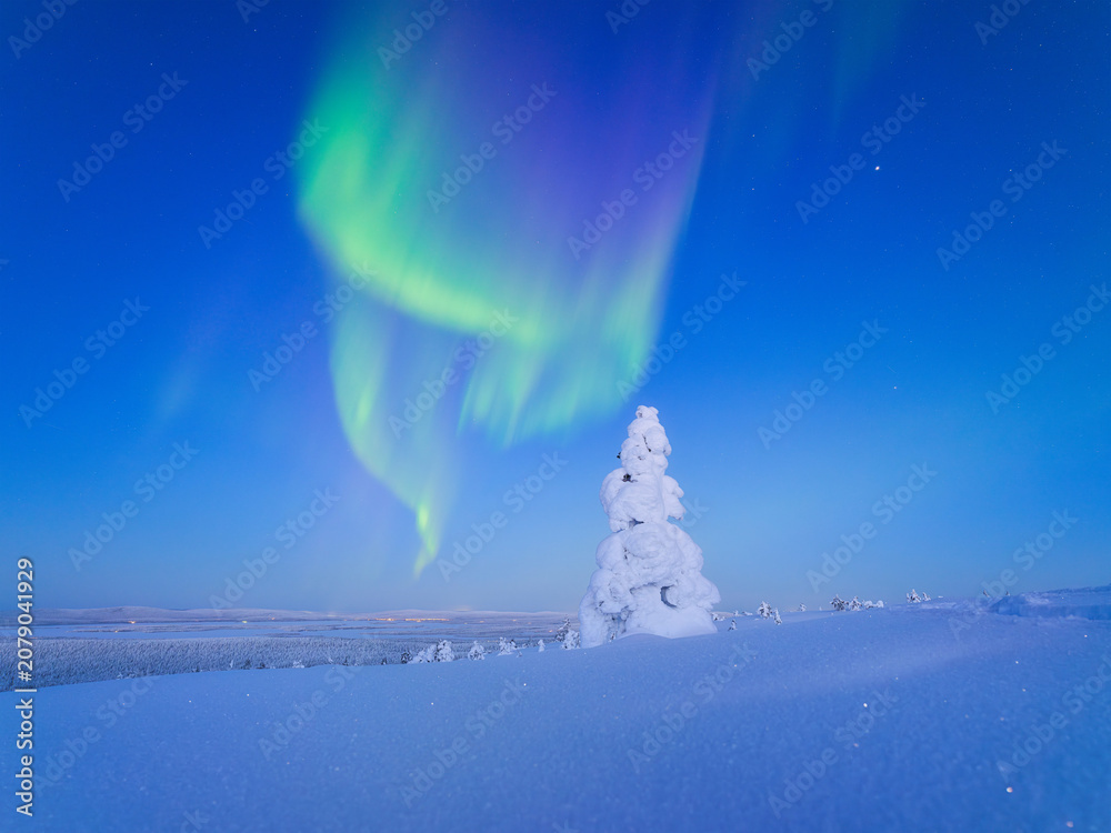 Fototapeta premium Night landscape of aurora borealis over a winter forest. Green northern lights glowing in the starry sky above snow-covered fir trees. Scandinavian winter nature with polar lights and stars.