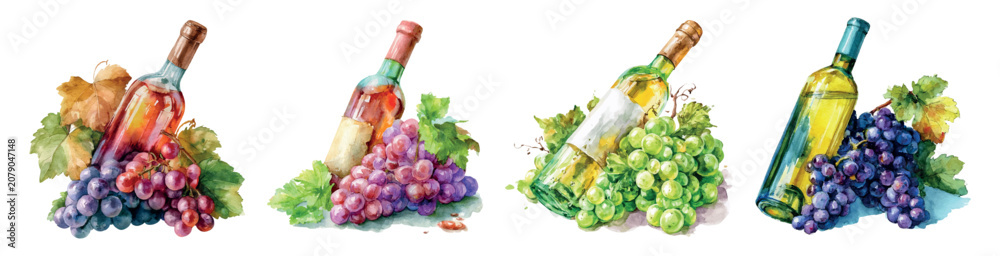 Obraz premium Watercolor illustrations portraying various wine bottles alongside vibrant red. Purple. And green grapes with lush leaves