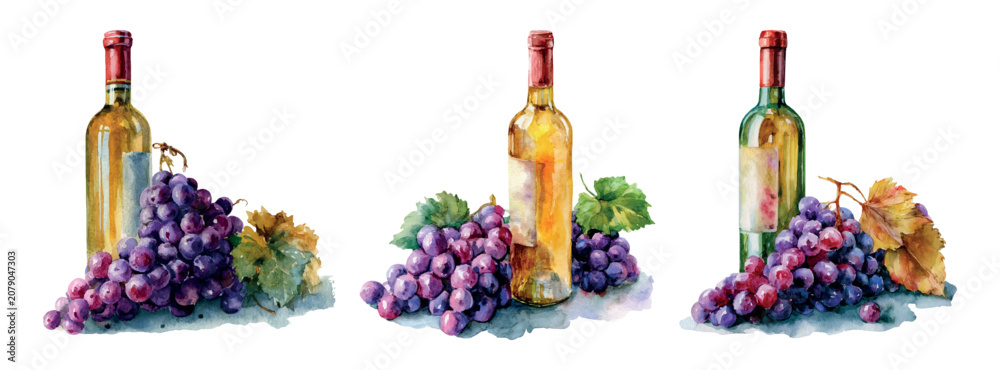 Obraz premium White wine bottles and fresh clusters of purple grapes, showcasing the art of winemaking and viticulture, representing a still life watercolor illustration on white background